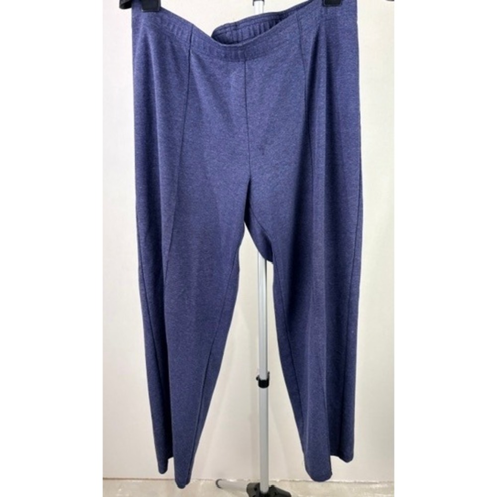 C.D. Petites Womens Blue Heathered Elastic Waist Pull On Pants XL P0891RO‎ 1
